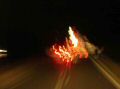 DSCN4312.JPG